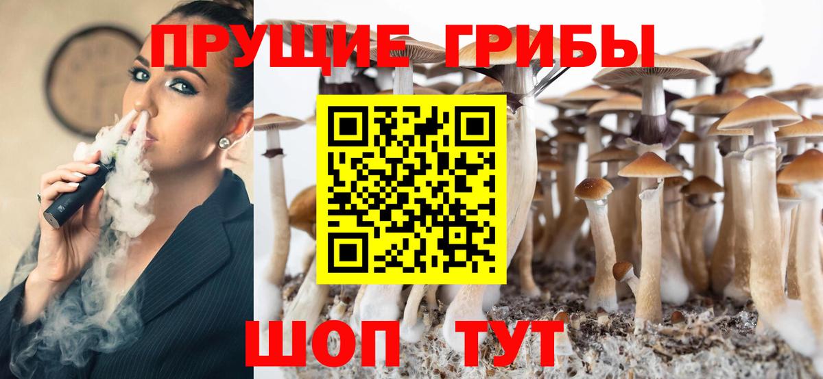 Псилоцибиновые грибы Psilocybe  Вход с VPN  Галлюциногенные грибы мухоморы  Электросталь 